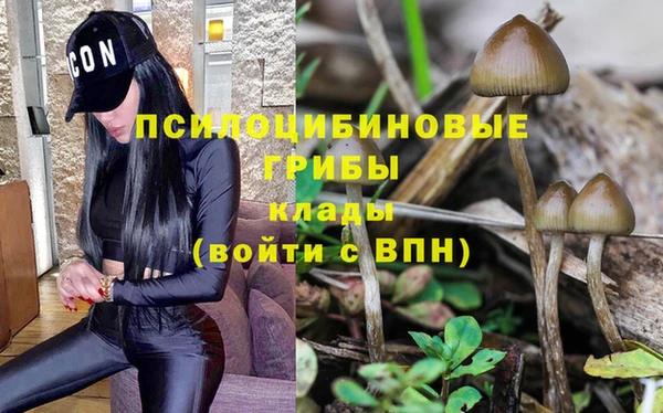 мескалин Верхний Тагил