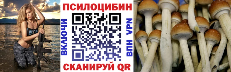 Псилоцибиновые грибы Magic Shrooms  Плёс 